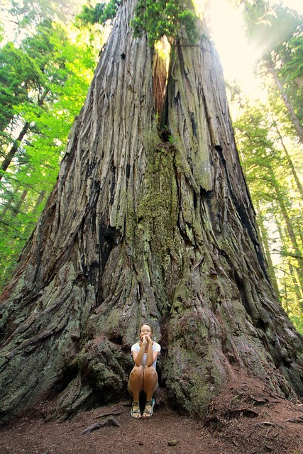 Tilden Regional Park