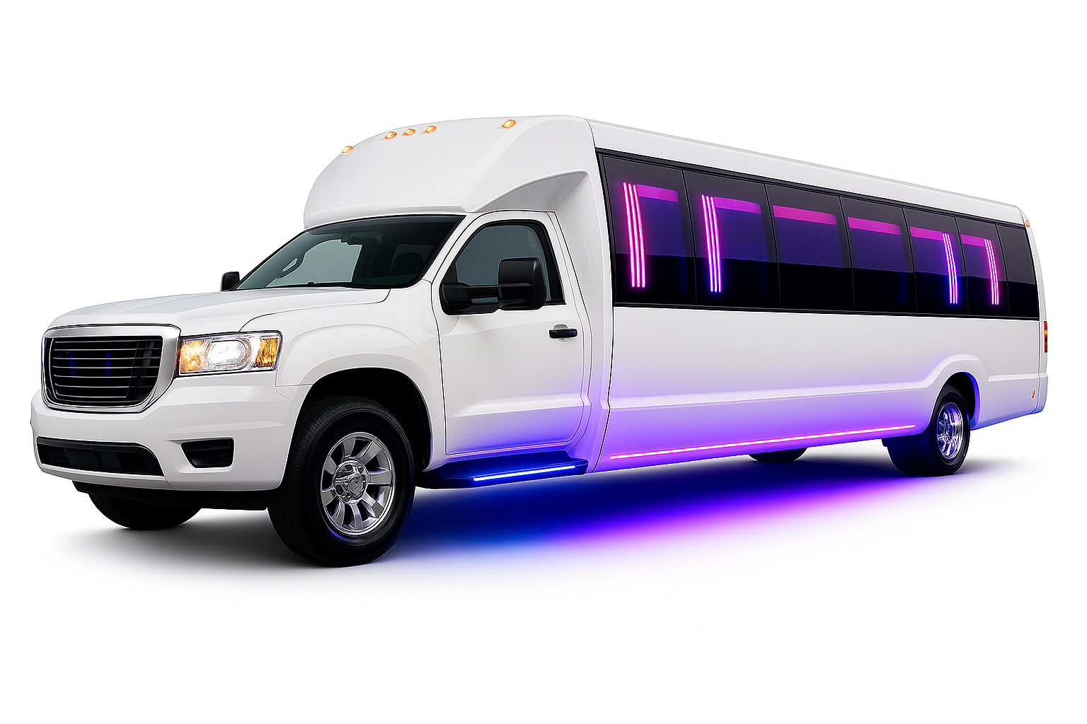 20 Passenger Party Bus exterior