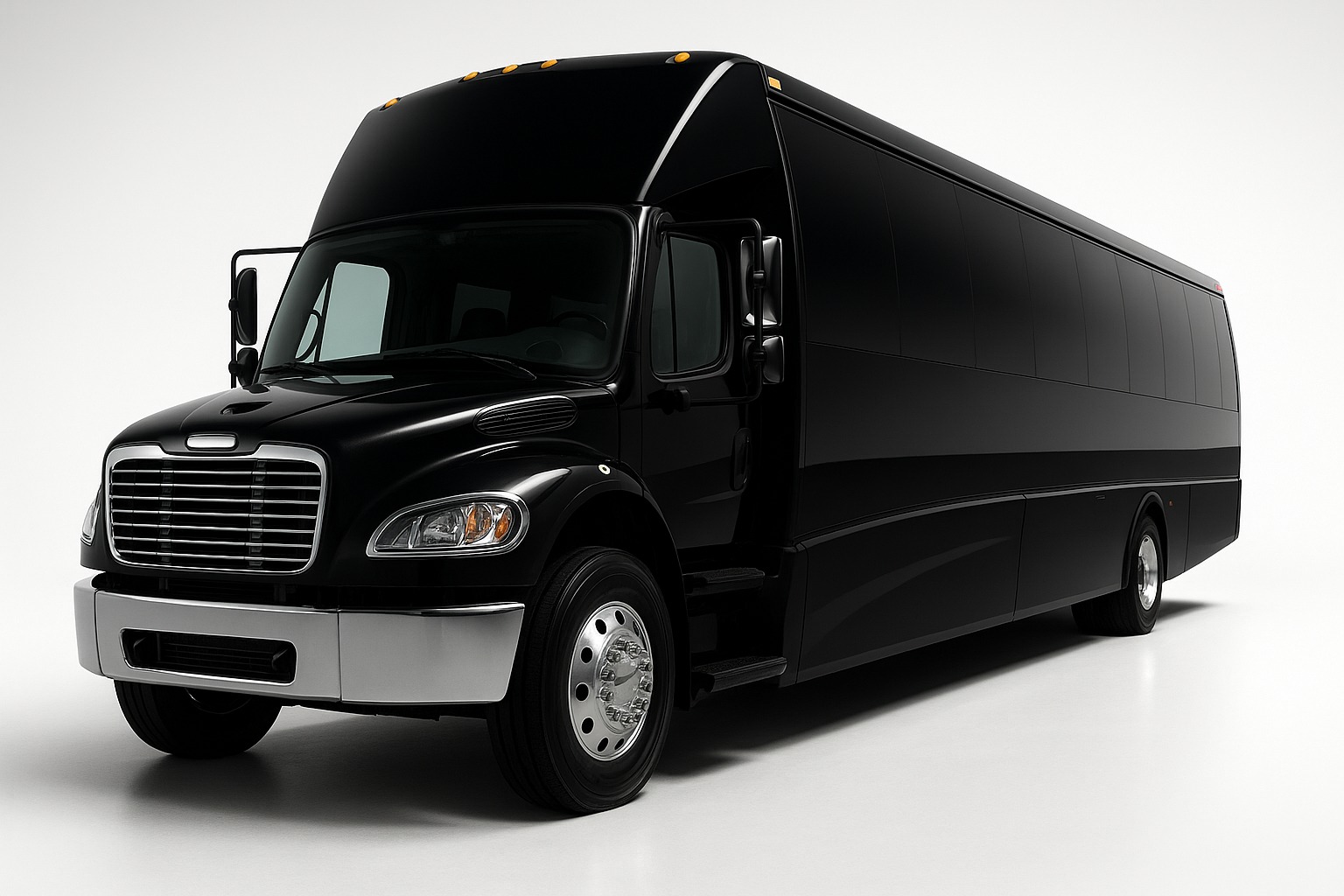 10 Passenger Party Bus image