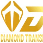 Diamond Express Limo